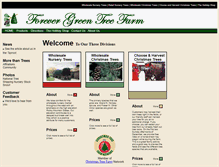 Tablet Screenshot of forevergreentree.com